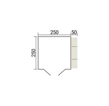 Technische Zeichnung eines Grundrisses mit den Maßen 250 mal 250 Zentimeter und einem Anbauteil von 50 Zentimetern.
