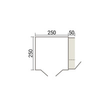 Technische Zeichnung eines quadratischen Elements mit Maßen von 250 mal 250 Millimetern und einer seitlichen Erweiterung von 50 Millimetern.