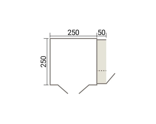 Technische Zeichnung eines quadratischen Elements mit Maßen von 250 mal 250 Millimetern und einer seitlichen Erweiterung von 50 Millimetern.