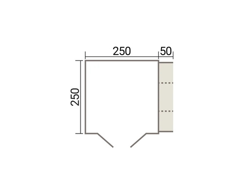 Technische Zeichnung eines quadratischen Grundrisses mit den Maßen 250 mal 250 Zentimeter plus einem Anbauelement von 50 Zentimeter Breite.