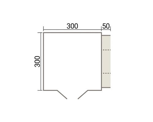 Technische Zeichnung mit Maßen fuer eine quadratische Grundflaeche von 300 mal 300 Zentimeter mit einem seitlichen Anbau von 50 Zentimeter.