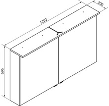 Maßzeichnung Spiegelschrank, zwei Türen, Breite 1202 Millimeter, Höhe 696 Millimeter, Tiefe 200 Millimeter.