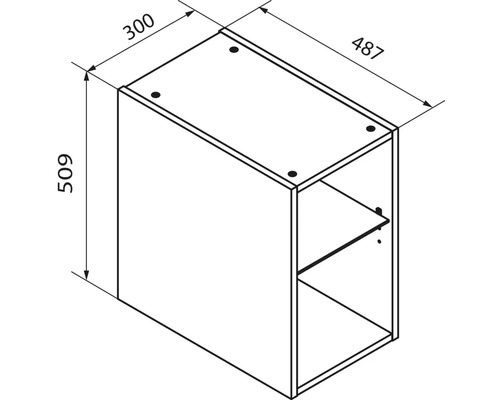 Maßzeichnung eines Schranks mit den Maßen 300 Millimeter Breite, 487 Millimeter Tiefe und 509 Millimeter Höhe.