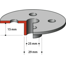 Technische Zeichnung einer Metallplatte: Höhe 15 Millimeter, Innendurchmesser 25 Millimeter und Außendurchmesser 29 Millimeter.