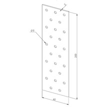Lochplatte aus Metall mit den Maßen 200 mal 60 mal 2 Millimeter und 5 Millimeter Lochdurchmesser für Holzverbindungen.