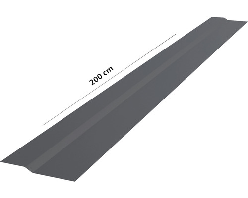 Dachblech 200 cm