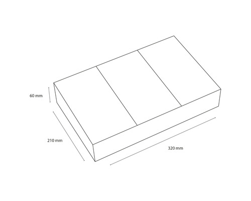 Technische Zeichnung einer Pflanzschale mit den Maßen 320 mm x 210 mm x 60 mm.