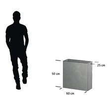 Abbildung eines Pflanzgefäßes mit den Maßen 50 cm Höhe, 60 cm Breite und 25 cm Tiefe.
