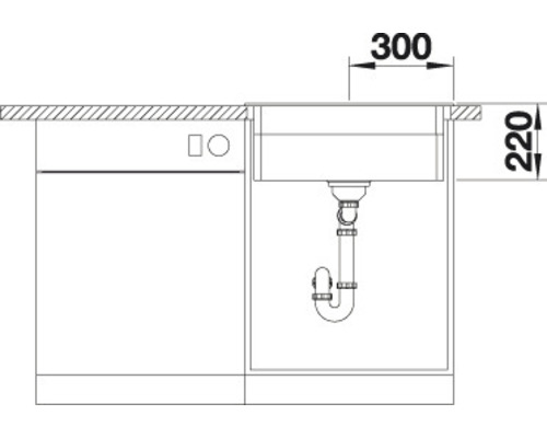 Zeichnung einer Küchenspüle mit Maßangaben 300 und 220 Millimeter.