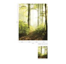 Wald Fototapete mit Bäumen und Blättern, 2,12 Meter x 2,70 Meter