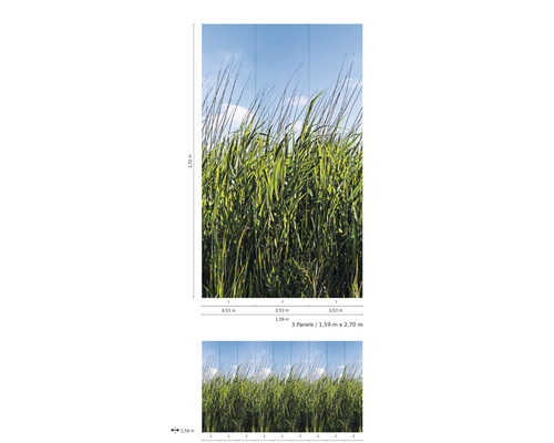 Grafik einer Tapete mit Grasmotiv und den Maßen 1,59 Meter mal 2,70 Meter.