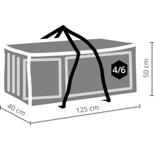 Abbildung einer Transportbox mit den Maßen 125 cm Länge, 40 cm Breite und 50 cm Höhe
