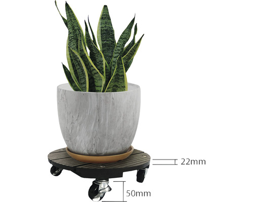 Pflanzenroller mit Pflanze im Topf