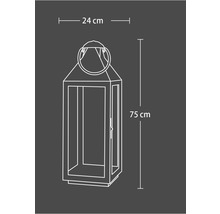 Technische Zeichnung einer Laterne mit den Maßen 24 mal 75 Zentimeter.