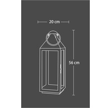 Illustration einer Laterne mit den Maßen 20 cm Breite und 56 cm Höhe