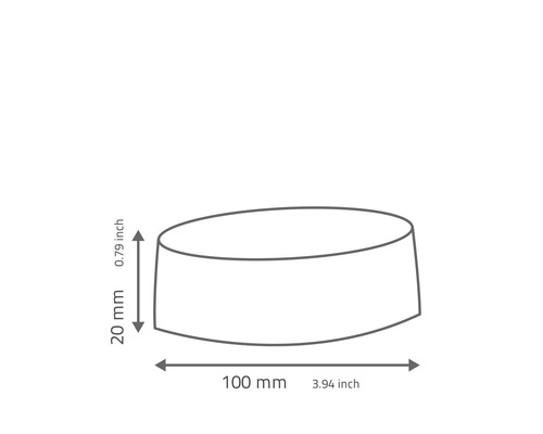 Technische Zeichnung eines runden Gegenstands mit den Maßen 100 mm mal 20 mm.