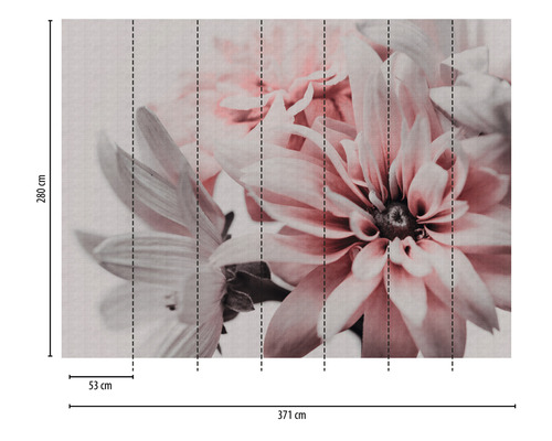 Fototapete mit Blumenmotiv und den Maßen 371 mal 280 Zentimeter