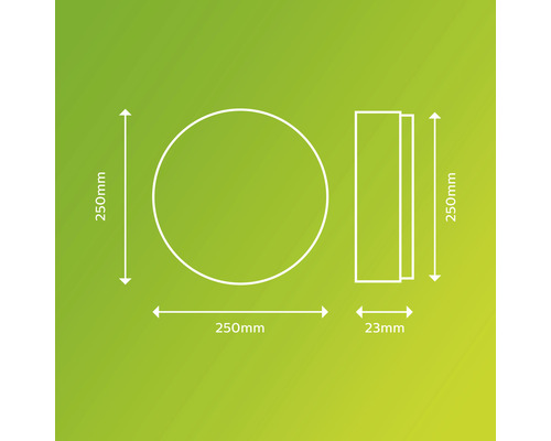 Technische Zeichnung eines runden Objekts mit Durchmesser 250 Millimeter und Dicke 23 Millimeter.