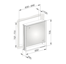 Spiegelschrank KEUCO Royal Lumos 65 x 16,5 x 73,5 cm silber 1-türig LED IP 24 Unterputz 712