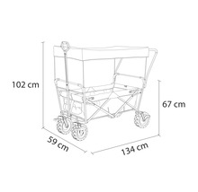 Bollerwagen axi faltbar mit Dach, Tasche, Bremse und Stange blau