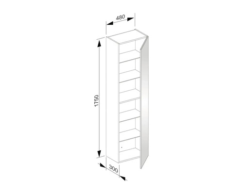 Technische Zeichnung eines Hochschranks mit den Maßen 1750 x 480 x 300 Millimeter.