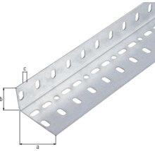 Conceptor Winkelprofil gelocht verzinkt 25x45x1 mm, 2m-thumb-1