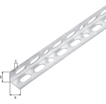 Conceptor Winkelprofil gelocht verzinkt 15x15x1 mm, 2m-thumb-1