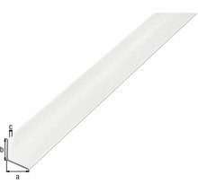Winkelprofil Alu silber eloxiert 15x15x1 mm, 2,6 m