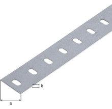Conceptor Flachstange gelocht verzinkt 35x1 mm, 2m-thumb-1