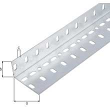 Conceptor Winkelprofil gelocht verzinkt 60x35x1 mm, 2m-thumb-1