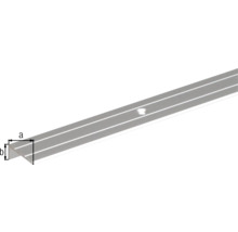 Treppenprofil Alu silber eloxiert 24,5x20x1,5 mm, 1 m-thumb-1