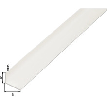 Winkelprofil PVC weiß 25x20x2 mm, 2 m-thumb-1