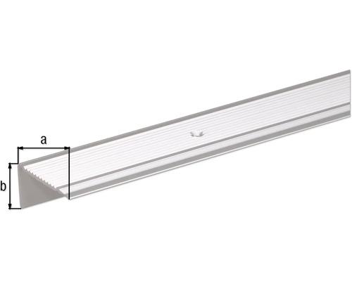 Aluminium Treppenkantenprofil mit Maßangaben a und b