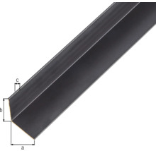 Winkelprofil Alu schwarz eloxiert 20x20x1 mm, 2 m-thumb-1