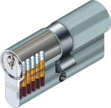 Profilzylinder E30NP Abus 55/55 mm gleichschließend