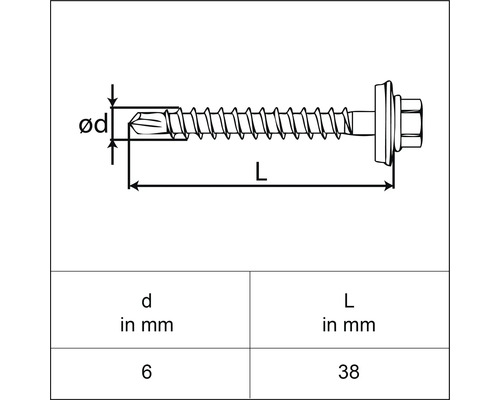 Illustration einer Bohrschraube mit Maßangaben: Durchmesser 6 mm, Länge 38 mm.