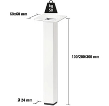 Produktdiagramm eines Tischbeins mit den Maßen 60 x 60 mm, Durchmesser 24 mm, Höhe 100, 200 oder 300 mm und einer Tragkraft von 50 Kilogramm.