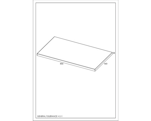 Technische Zeichnung einer Platte mit Maßangaben 806, 460 und 28