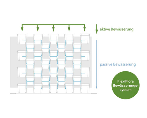 Schema der aktiven und passiven Bewässerung eines FlexiFlora Bewässerungssystems