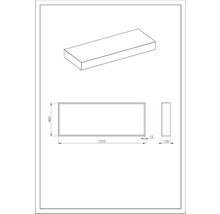 Technische Zeichnung eines rechteckigen Objekts mit den Maßen 1210 x 460 x 120 mm.