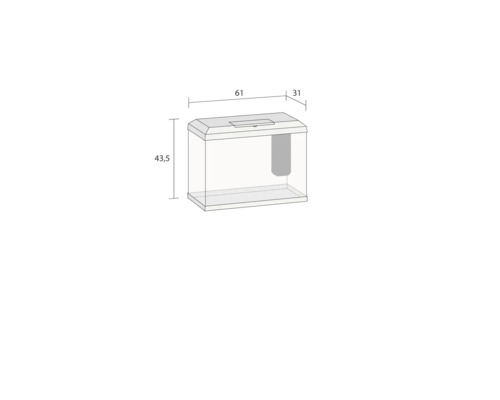 Aquarium mit den Maßen 61 cm x 31 cm x 43,5 cm.