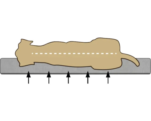 Illustration einer horizontalen Lastverteilung auf einer Oberfläche