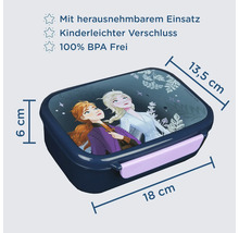 Brotdose mit Anna und Elsa Motiv, den Massen 18 mal 13.5 mal 6 Zentimeter und herausnehmbarem Einsatz