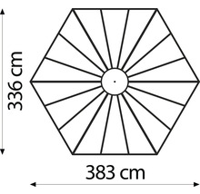 Gewächshaus Vitavia Galaxis 9000 Einscheibensicherheitsglas/ Hohlkammerplatten 3/6mm 336 x 383 cm schwarz