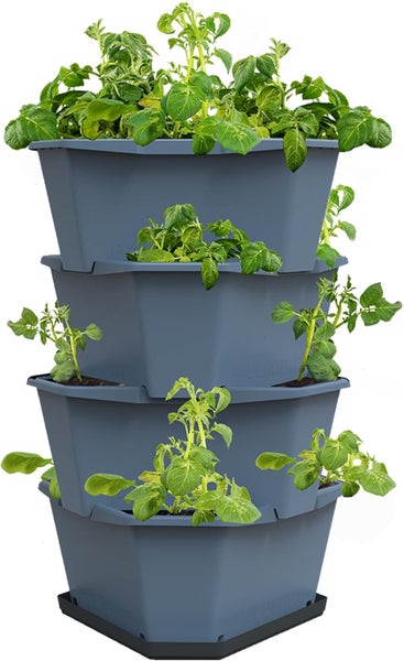 Grauer vertikaler Kartoffelturm aus Kunststoff mit vier Etagen und grünen Kartoffelpflanzen.
