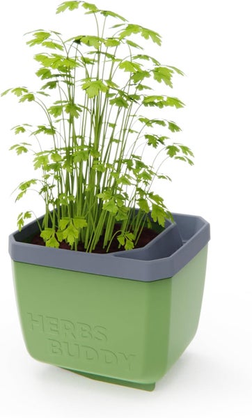 Kräutertopf mit Petersilie