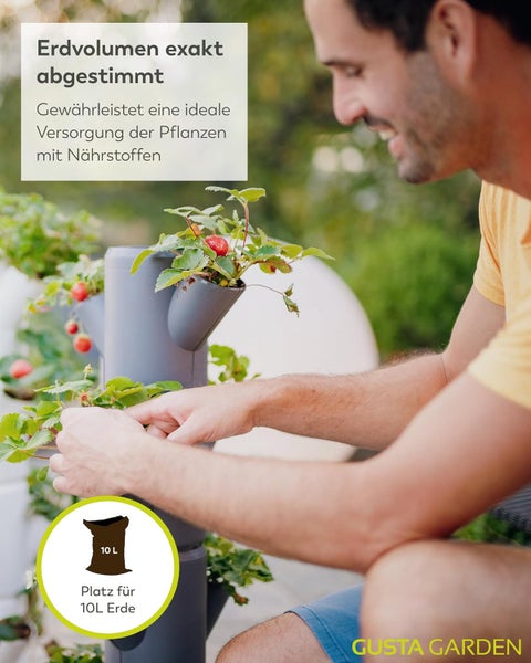 Ein Mann pflegt Erdbeerpflanzen in einem grauen vertikalen Pflanzgefäß mit 10 Liter Erdvolumen. Gusta Garden Logo.