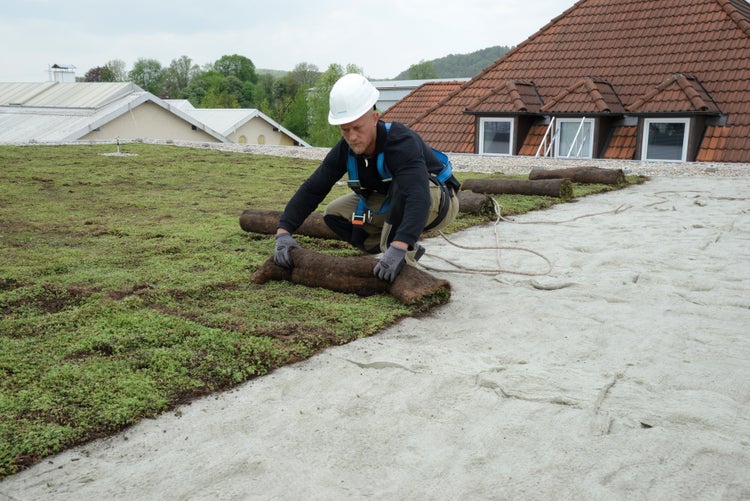 Handwerker verlegt Vegetationsmatten für eine Dachbegrünung auf einem Flachdach.