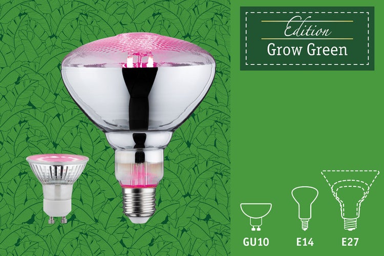 Grow Green Edition Filament 230V LED Reflektor GU10 95lm 3,5W 1100K Wachstumslicht