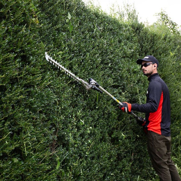 Eine Person schneidet eine Hecke mit einer Heckenschere.